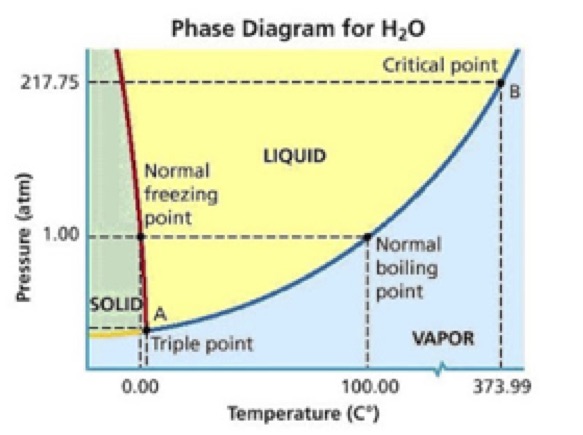 Science Ph 1